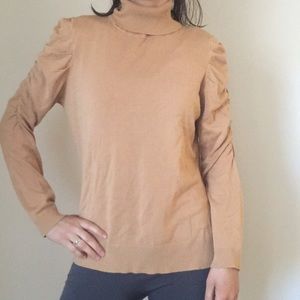 Trendy neutral turtleneck